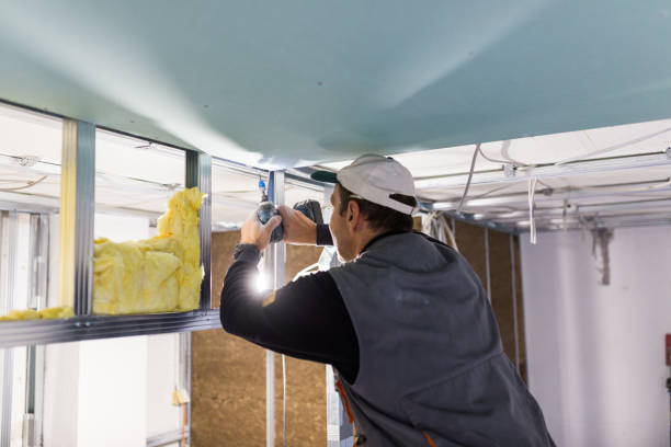 Best Specialized Insulation Services in Browns Lake, WI