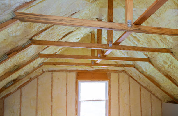 Best Cellulose Insulation in Browns Lake, WI