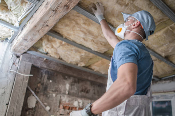Best Insulation Maintenance and Repair in Browns Lake, WI