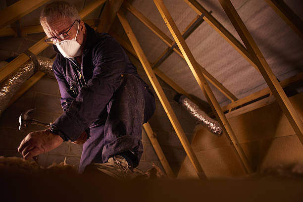 Professional Insulation Contractor in Browns Lake, WI