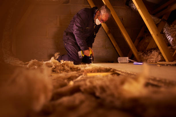 Best Specialized Insulation Services in Browns Lake, WI